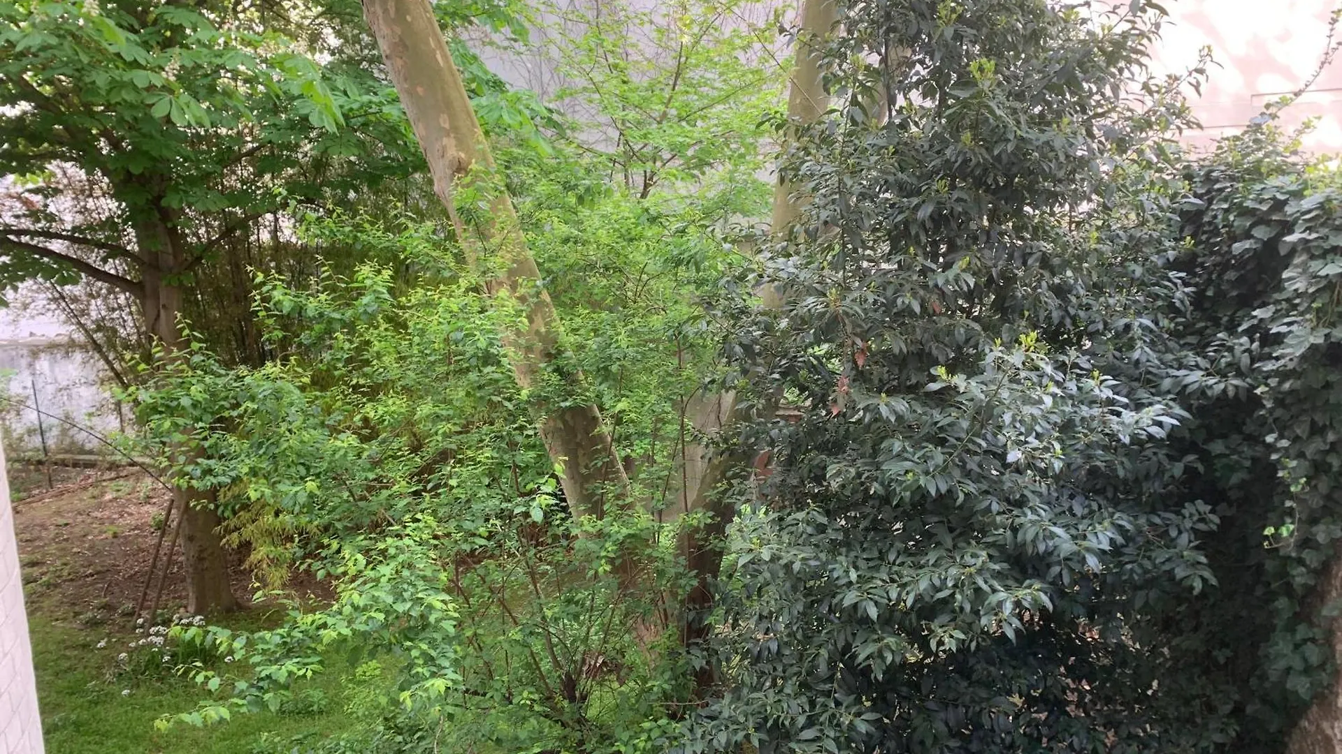 Apartment Pere Lachaise *